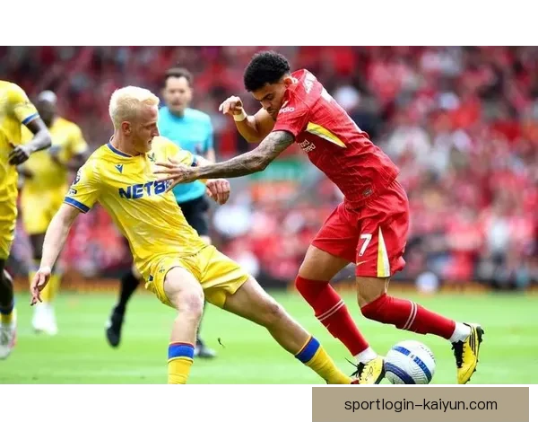 英超谢联进攻状态持续提升，近期表现备受关注